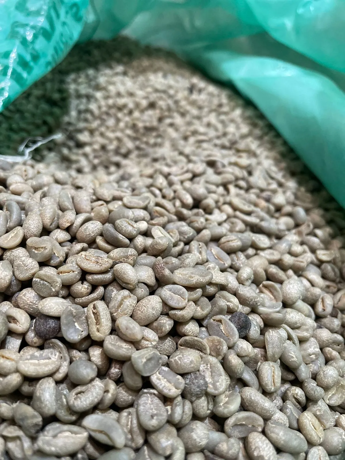 Café Oro Verde